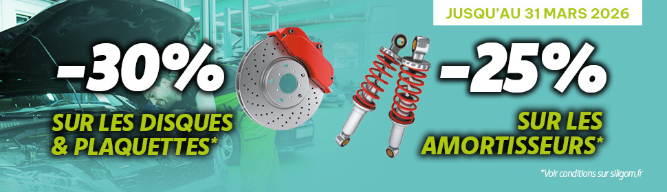 GO POUR LE CHECK-UP DE PRINTEMPS : - 30% SUR LES FREINS & -25% SUR LES AMORTISSEURS !