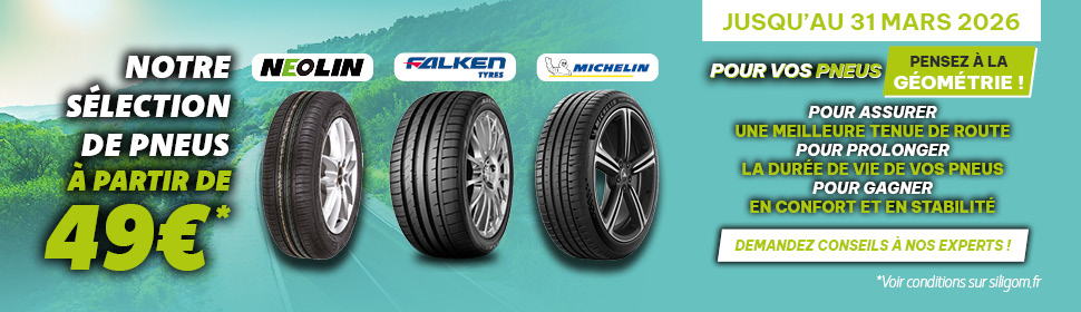 SÉLECTION DE PNEUS ÉTÉ ET 4 SAISONS À PETITS PRIX !